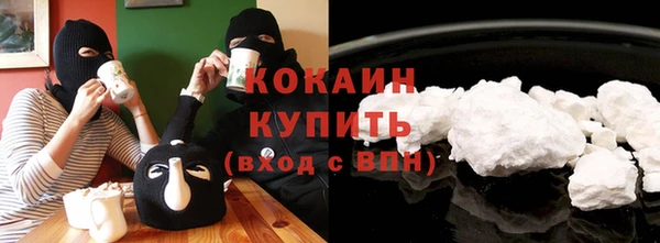 трава Коряжма