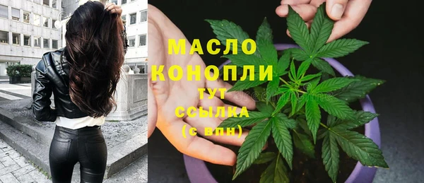 ECSTASY Корсаков