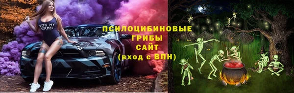 ECSTASY Корсаков