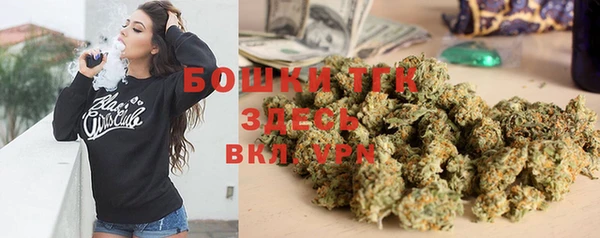 трава Коряжма
