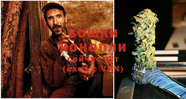 трава Коряжма