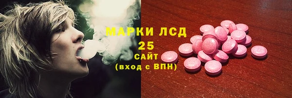 трава Коряжма
