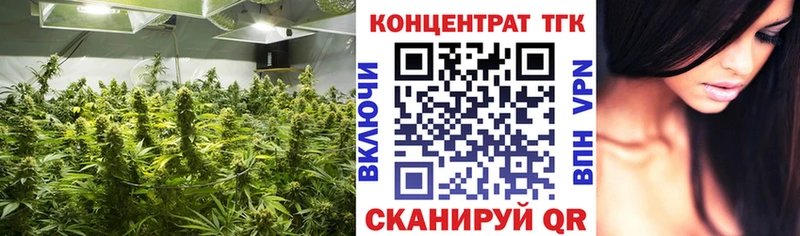 Купить  Дорогобуж  Дистиллят ТГК THC oil 