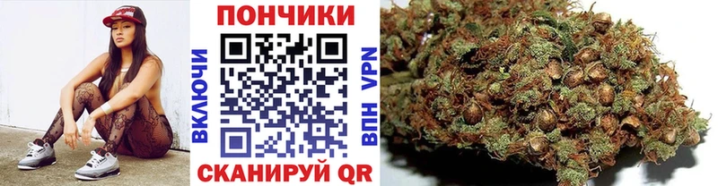 Шишки марихуана ГИДРОПОН  Купить где  Дорогобуж 